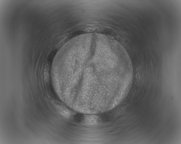 X0000080680226200701051042