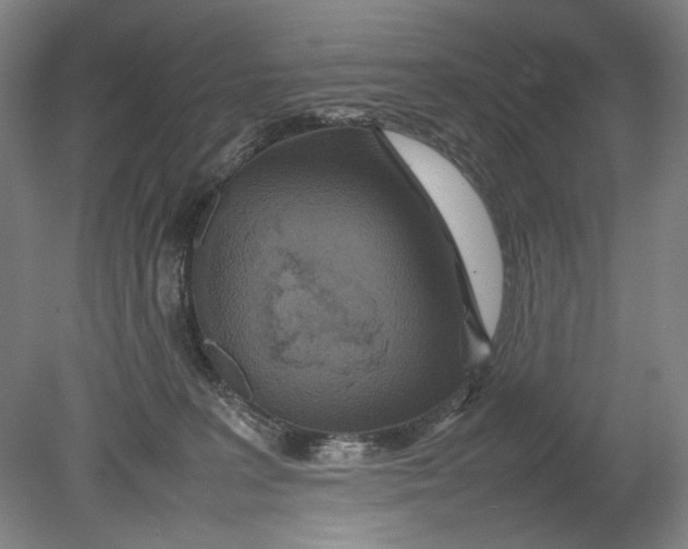 X0000080680227200701051042