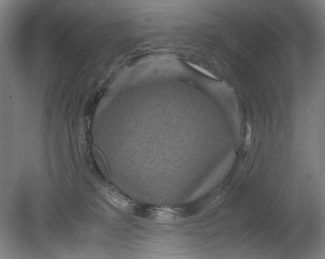 X0000080680229200701051042