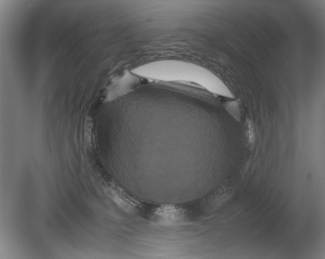 X0000080680231200701051042