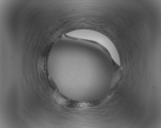 X0000080680233200701051042