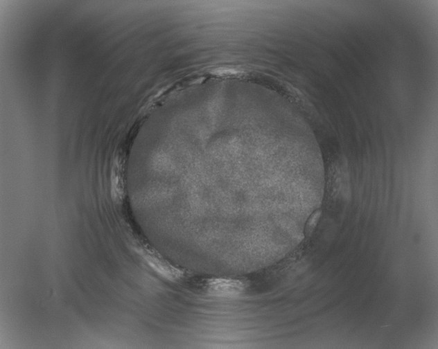 X0000080680234200701051042