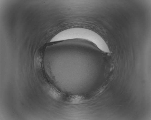 X0000080680235200701051042