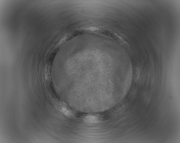 X0000080680236200701051042