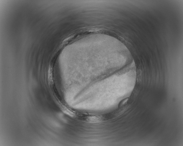 X0000080680238200701051042