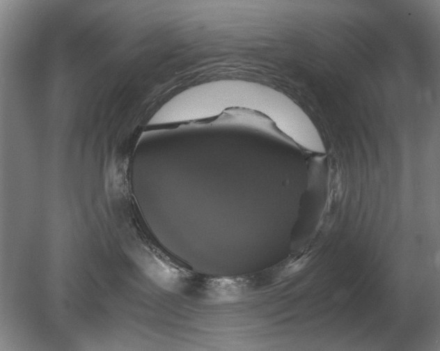 X0000080680239200701051042