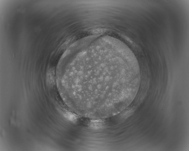 X0000080680240200701051042