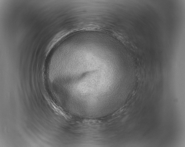 X0000080680242200701051041