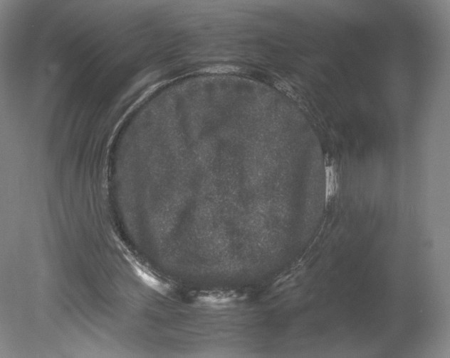 X0000080680243200701051041