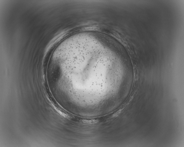 X0000080680245200701051041