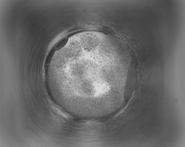 X0000080680246200701051041