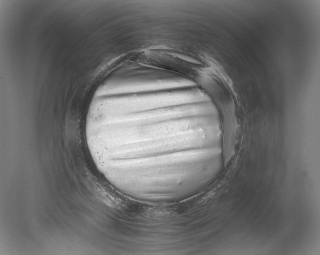 X0000080680249200701051041