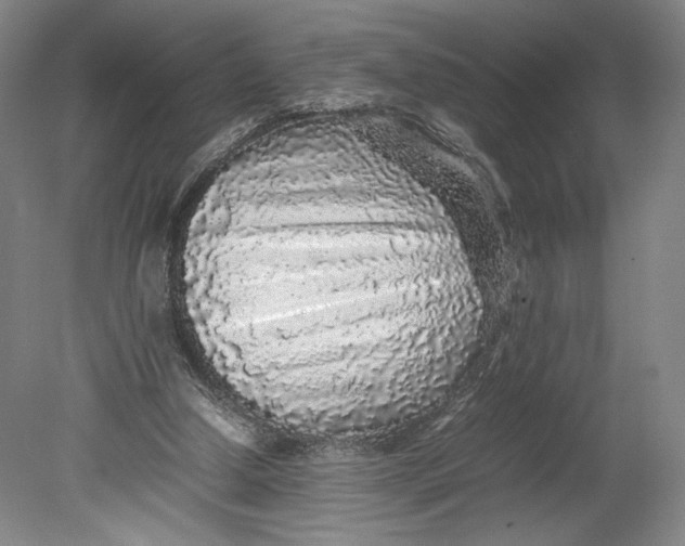 X0000080680250200701051041