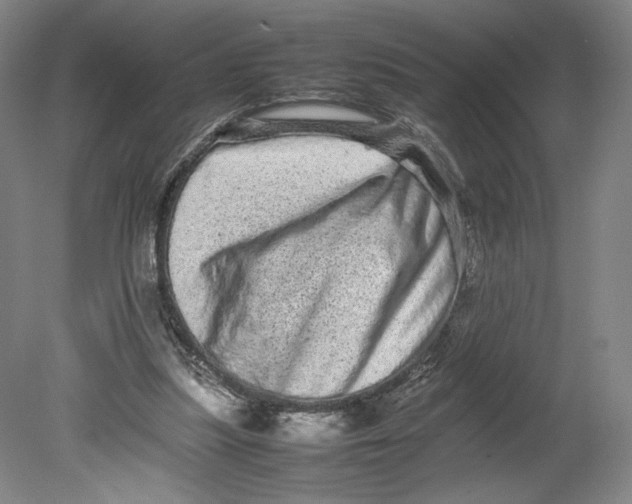 X0000080680251200701051041