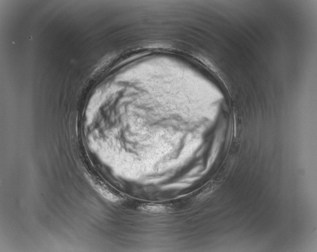 X0000080680253200701051041