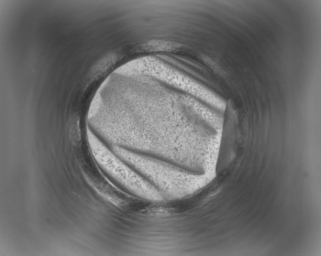 X0000080680254200701051041