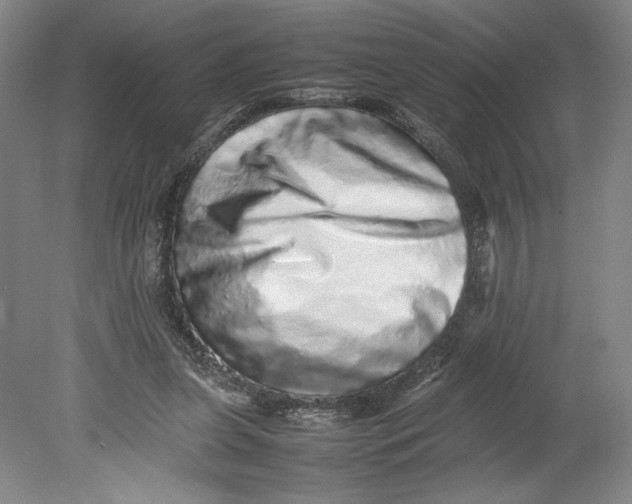 X0000080680255200701051042