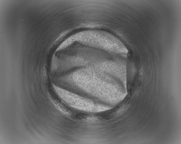 X0000080680256200701051042