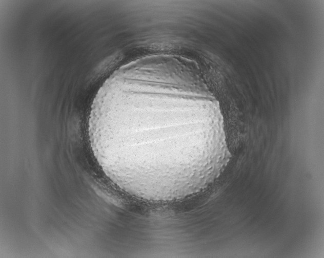 X0000080680258200701051042