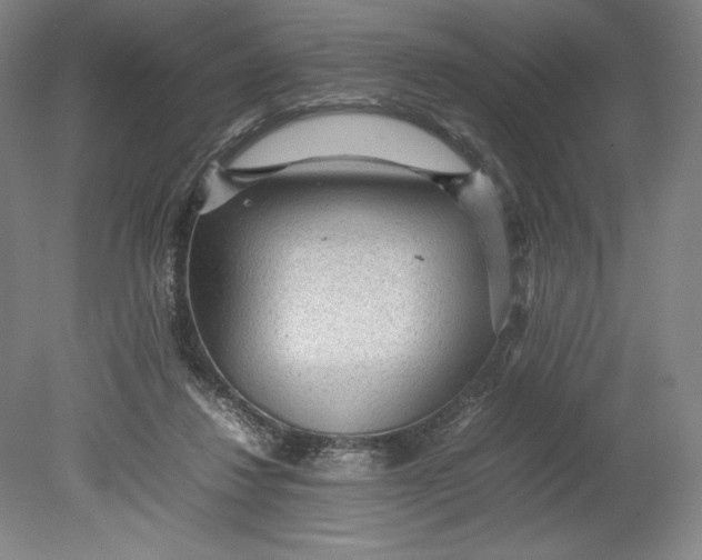 X0000080680260200701051042