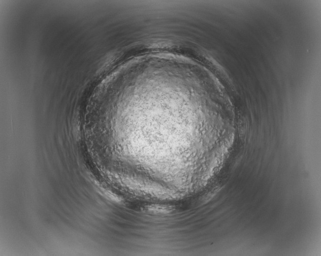 X0000080680261200701051042