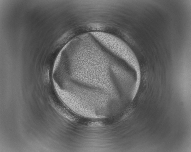 X0000080680262200701051042