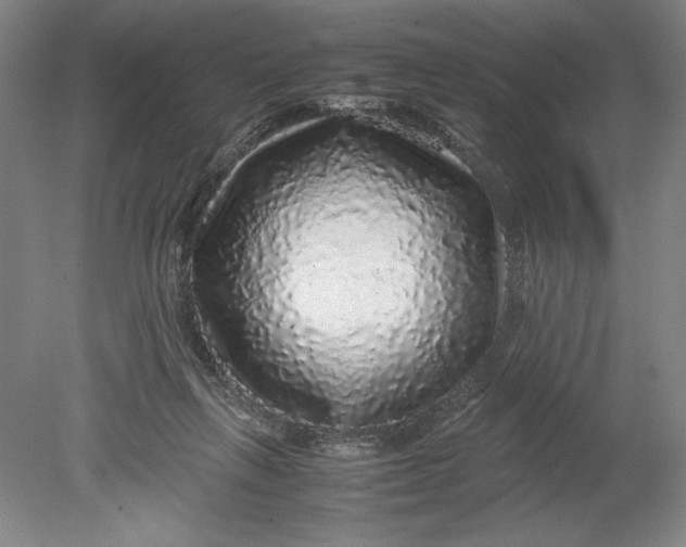 X0000080680263200701051042