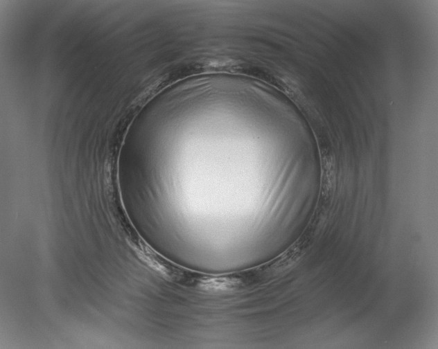 X0000080680269200701051042