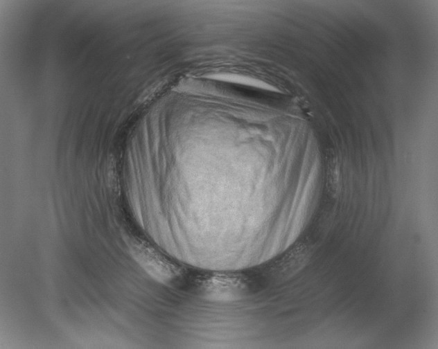 X0000080680270200701051042