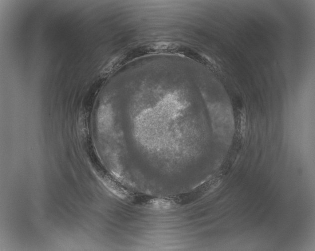 X0000080680272200701051042