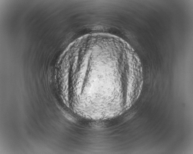 X0000080680273200701051042