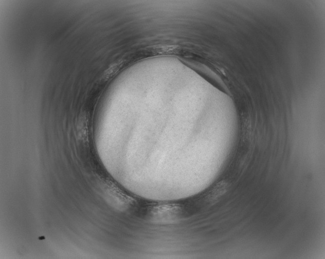 X0000080680274200701051042