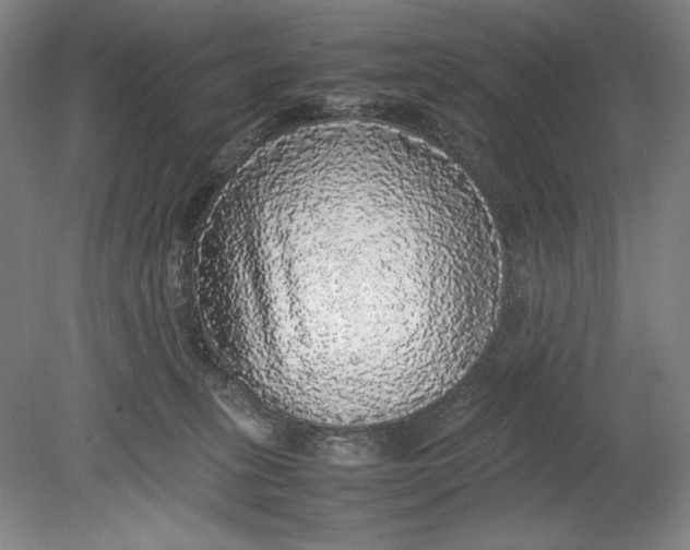 X0000080680275200701051042