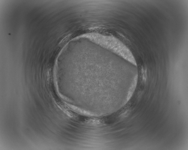 X0000080680276200701051042