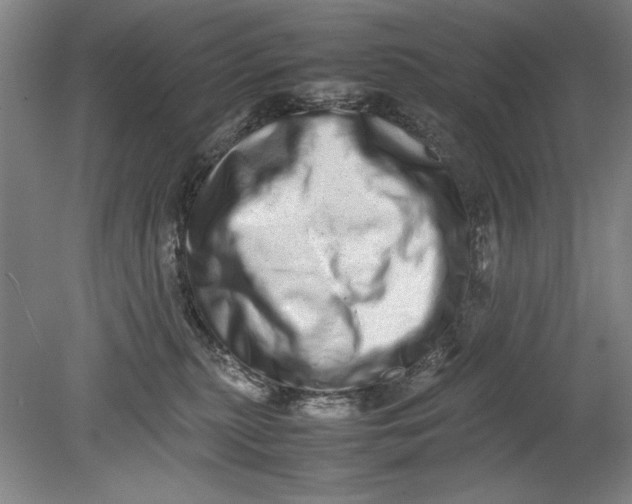 X0000080680279200701051042