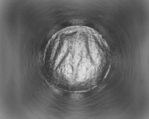 X0000080680281200701051042