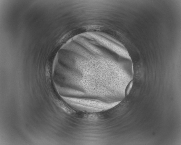 X0000080680282200701051042