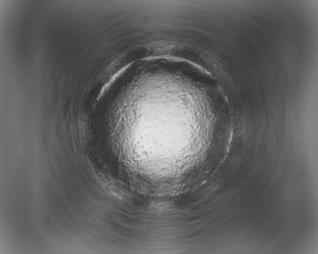 X0000080680283200701051042