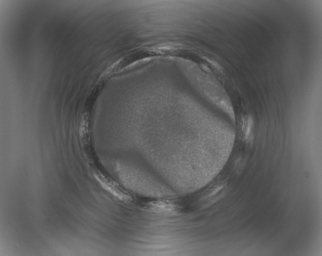 X0000080680284200701051042