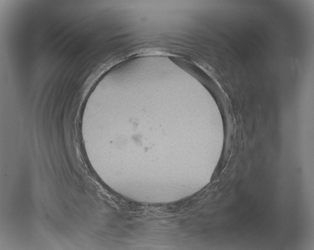 X0000080680289200701051041