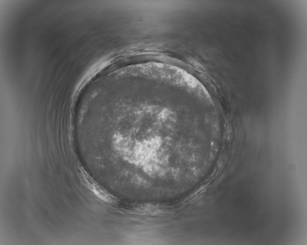 X0000080680293200701051041