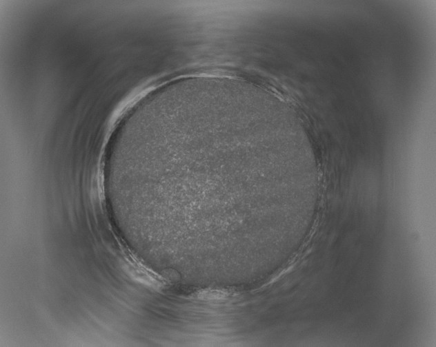 X0000080680294200701051041