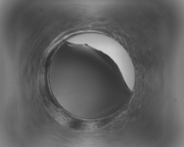 X0000080680295200701051041