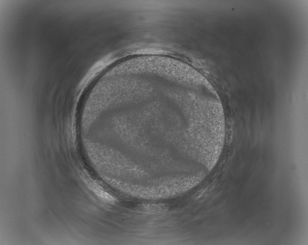 X0000080680296200701051041