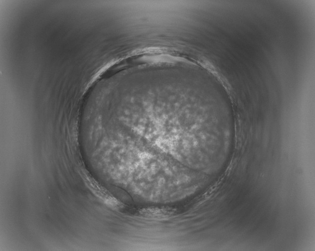 X0000080680297200701051041