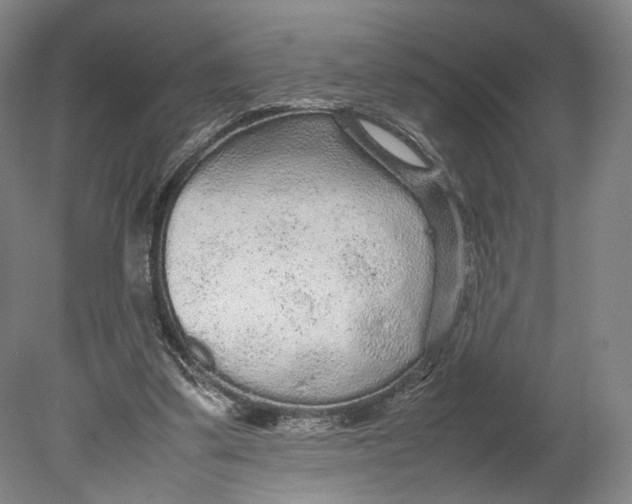 X0000080680299200701051041