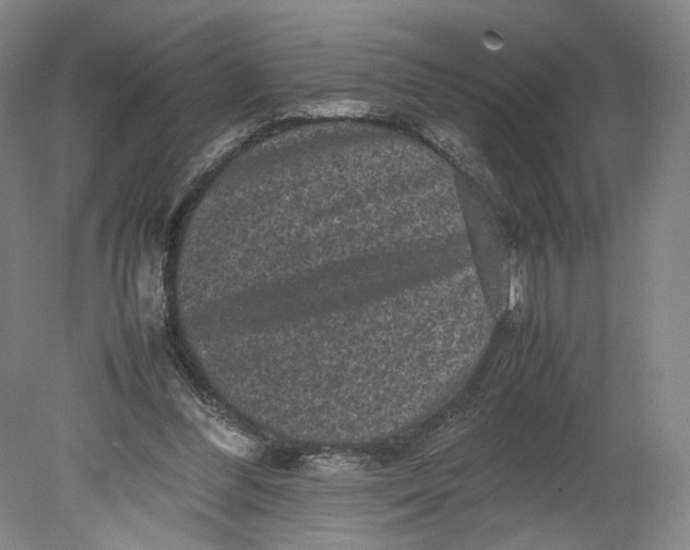 X0000080680300200701051041