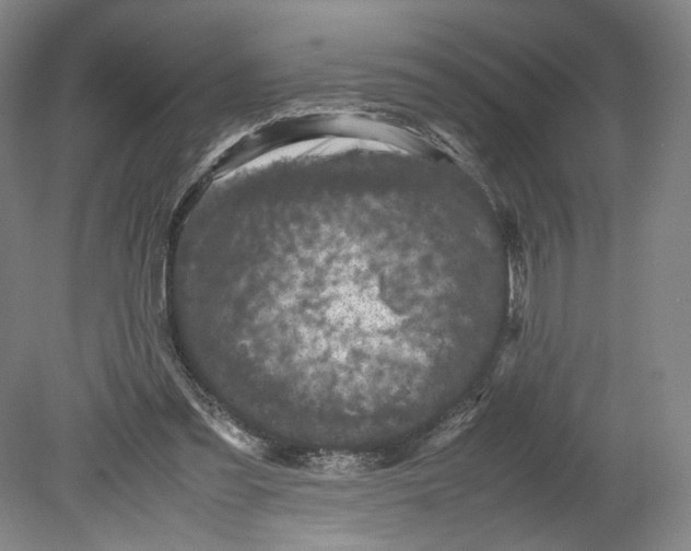 X0000080680301200701051041