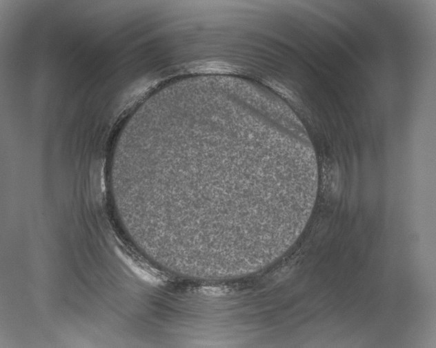 X0000080680302200701051041