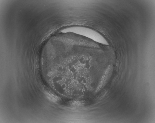 X0000080680303200701051041